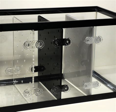 aquarium divider 40 gallon|10 gallon fish tank divider.